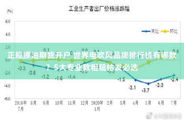 正规原油期货开户 世界电吹风品牌排行榜有哪款？5大专业款粗糙枯发必选