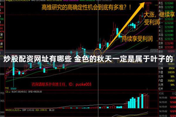 炒股配资网址有哪些 金色的秋天一定是属于叶子的