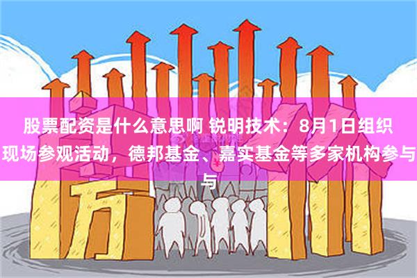 股票配资是什么意思啊 锐明技术：8月1日组织现场参观活动，德邦基金、嘉实基金等多家机构参与