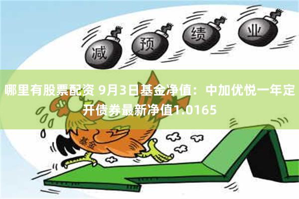 哪里有股票配资 9月3日基金净值：中加优悦一年定开债券最新净值1.0165