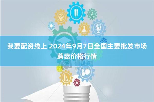 我要配资线上 2024年9月7日全国主要批发市场蘑菇价格行情