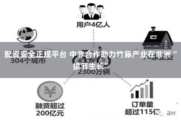 配资安全正规平台 中非合作助力竹藤产业在非洲“拔节生长”