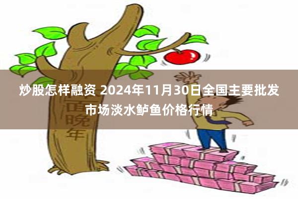 炒股怎样融资 2024年11月30日全国主要批发市场淡水鲈鱼价格行情